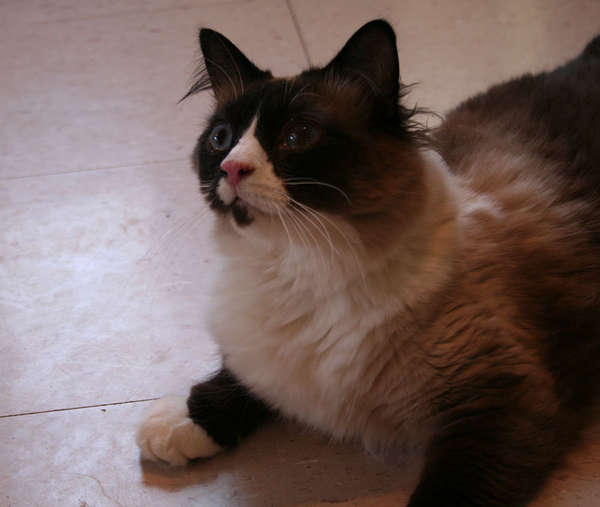 photo