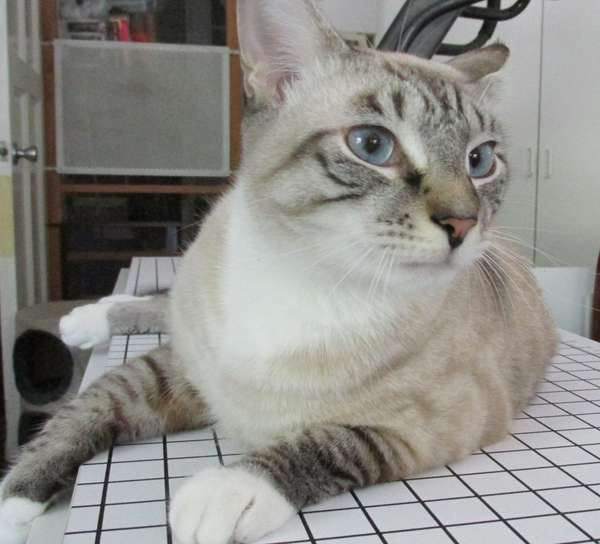 photo