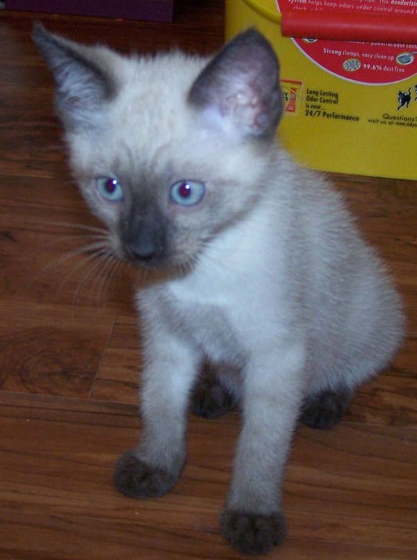 photo