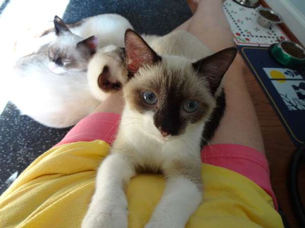 photo